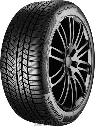 Купить CONTINENTAL 0355519 Шины Continental CONTIWINTERCONTACT TS850P 215/50R19 93T BS