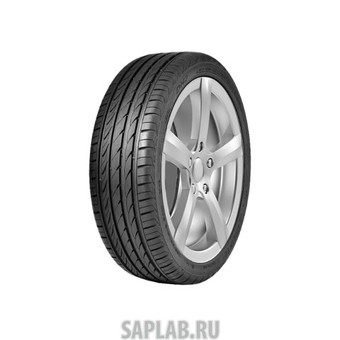 Купить DELINTE 6901532203850 Шины Delinte DH2 195/50 R16 88V