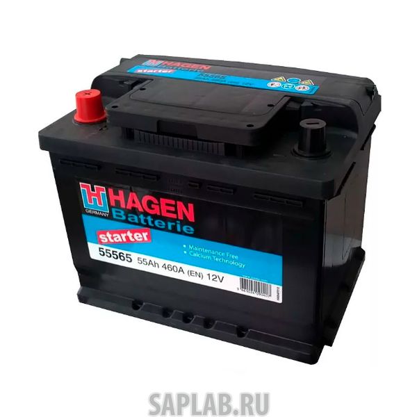 Купить запчасть HAGEN_BATTERIE - 55565 