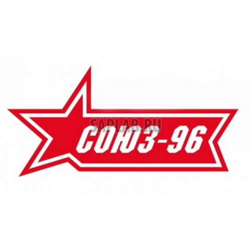 Купить SOUZ96 GWHV860278 Защита штатного порога d 42 (компл 2шт) 